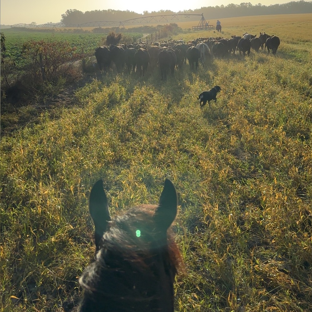 Meet your Posher, Macy